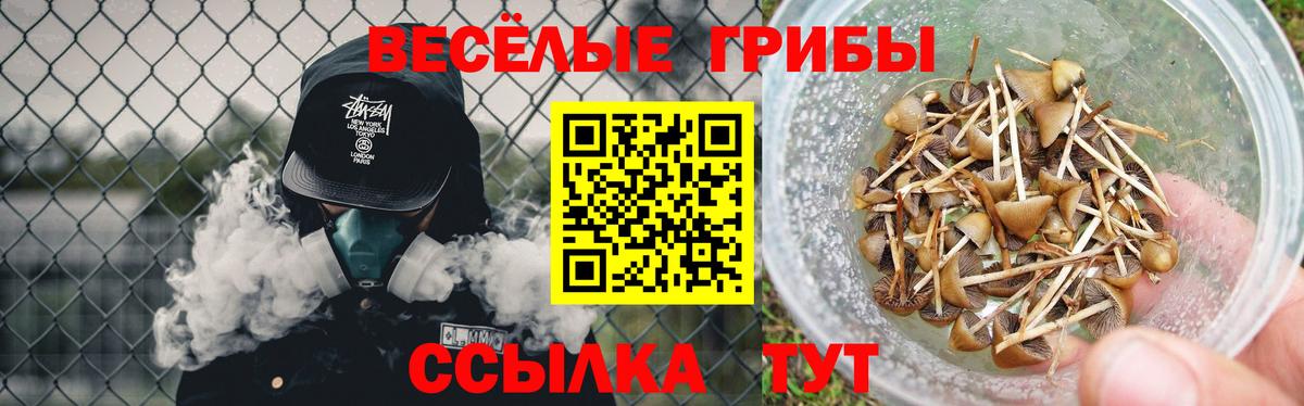 Галлюциногенные грибы прущие грибы  Вход с VPN  Галлюциногенные грибы мицелий  Ялта 